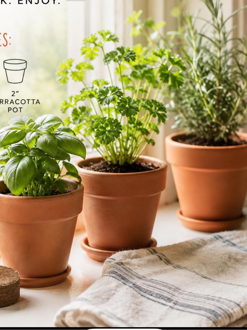 Classic Terracotta Mini Plant Pots - Set of 9